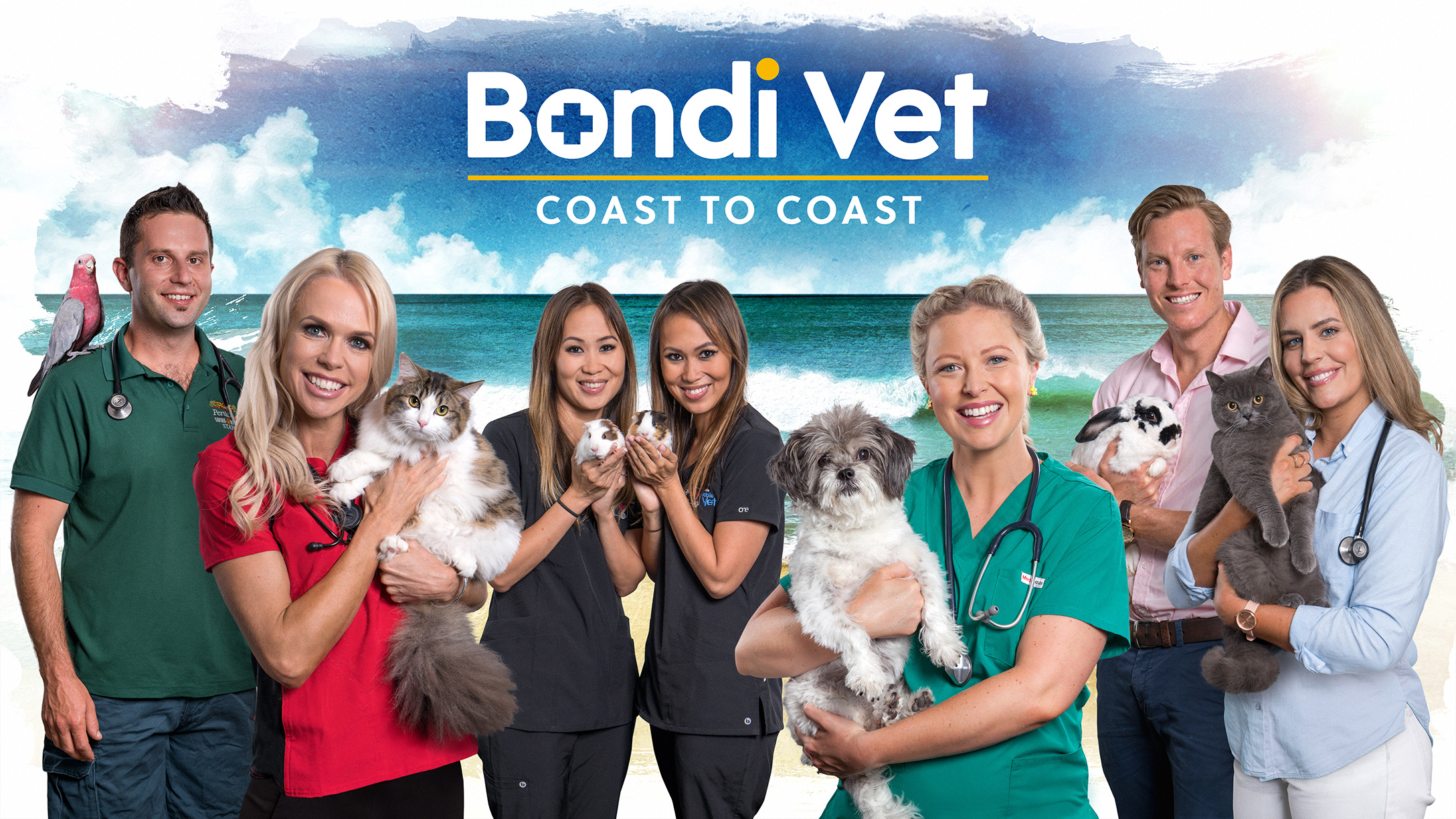 Bondi Vet Coast to Coast WTFN
